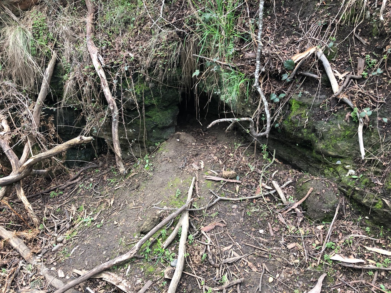 Convict Built Lime Kiln