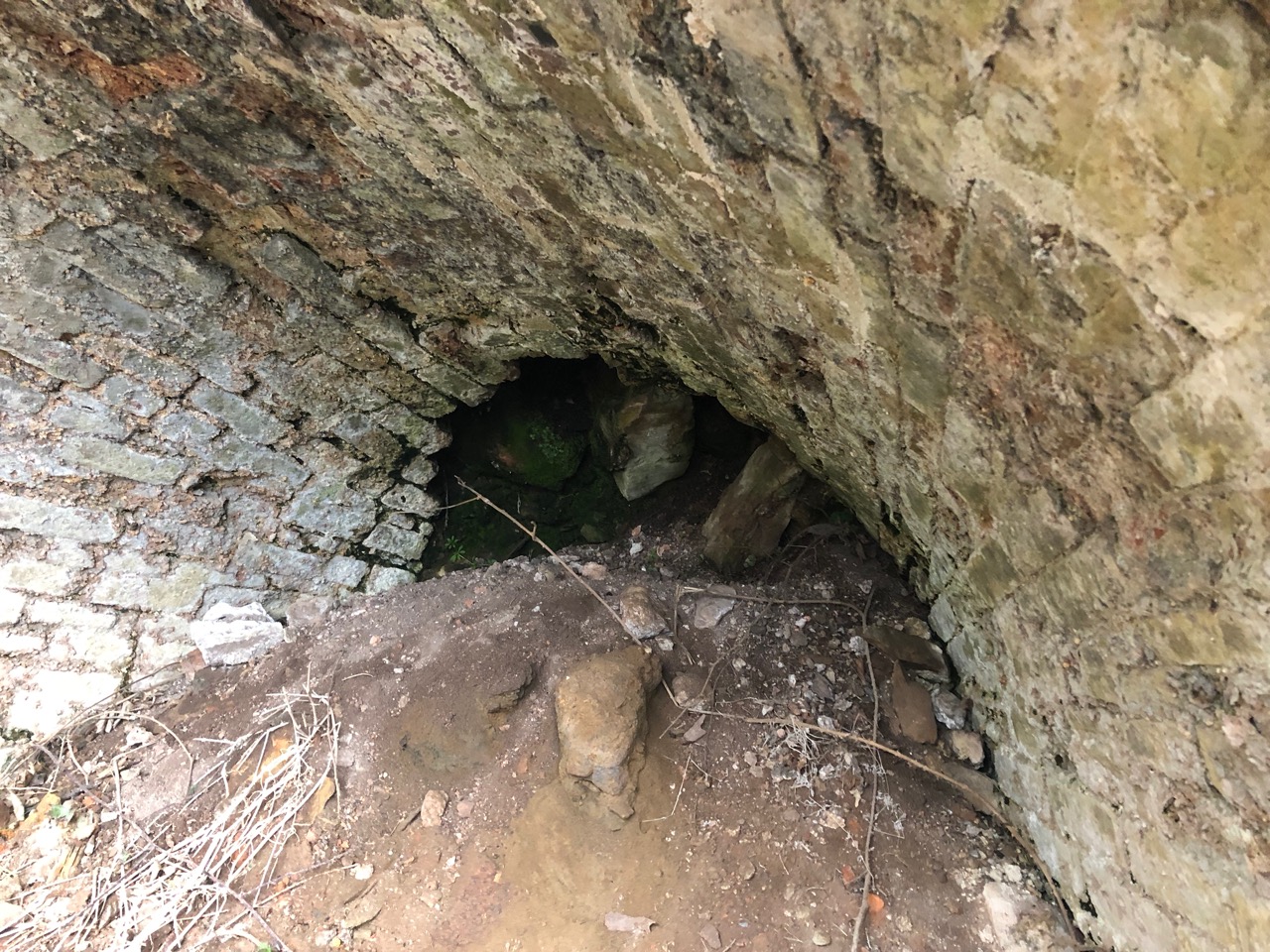 Figure 3: Middle Arm c. 1818 Convict Built Lime Kiln Arch. Photo: Darren Watton 2019.